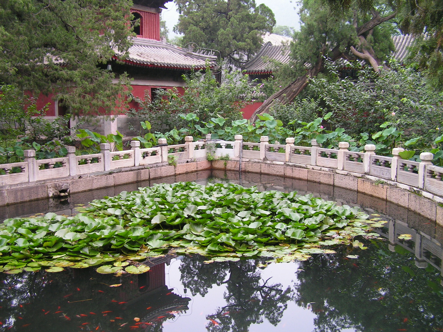 Beijing_20060803_086.jpg